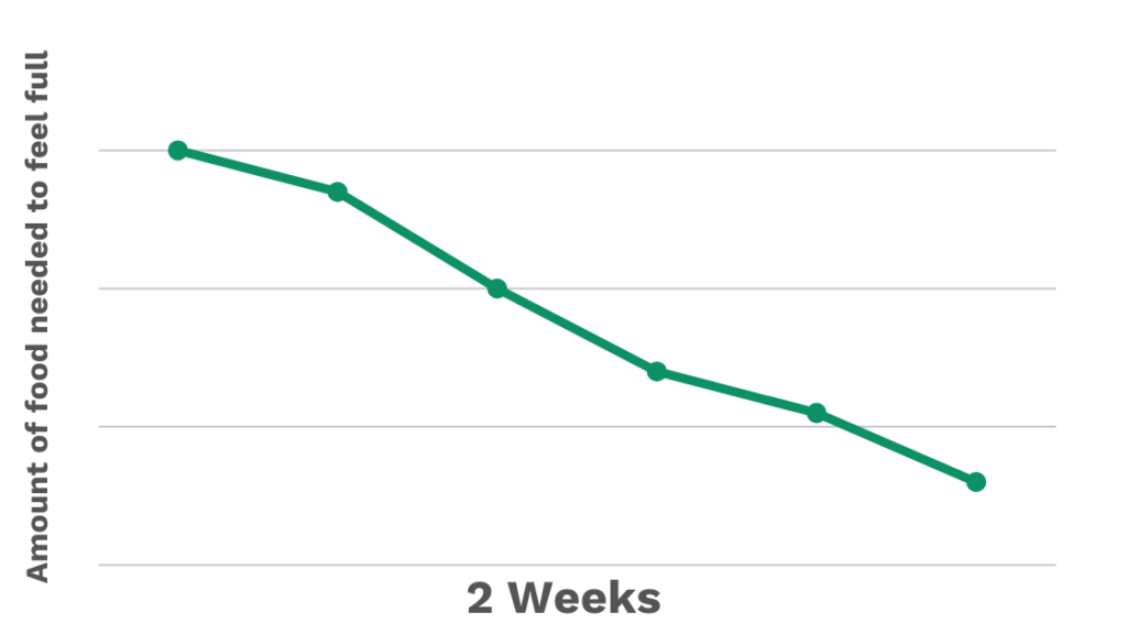 Amount of food needed to feel full