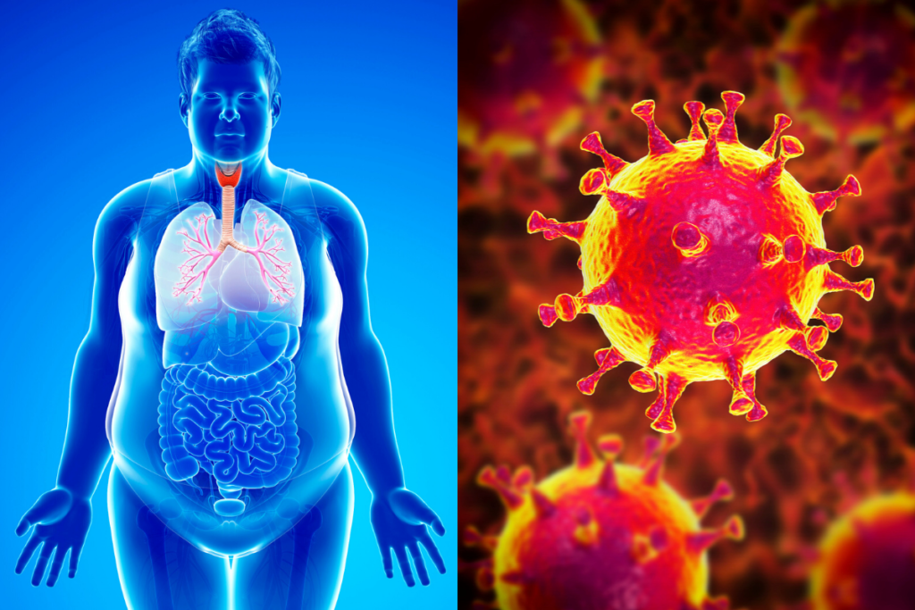 Coronavirus and Obesity