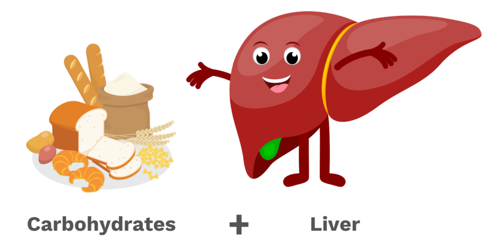 The liver shrinking diet should be low in carbohydrates before bariatric surgery