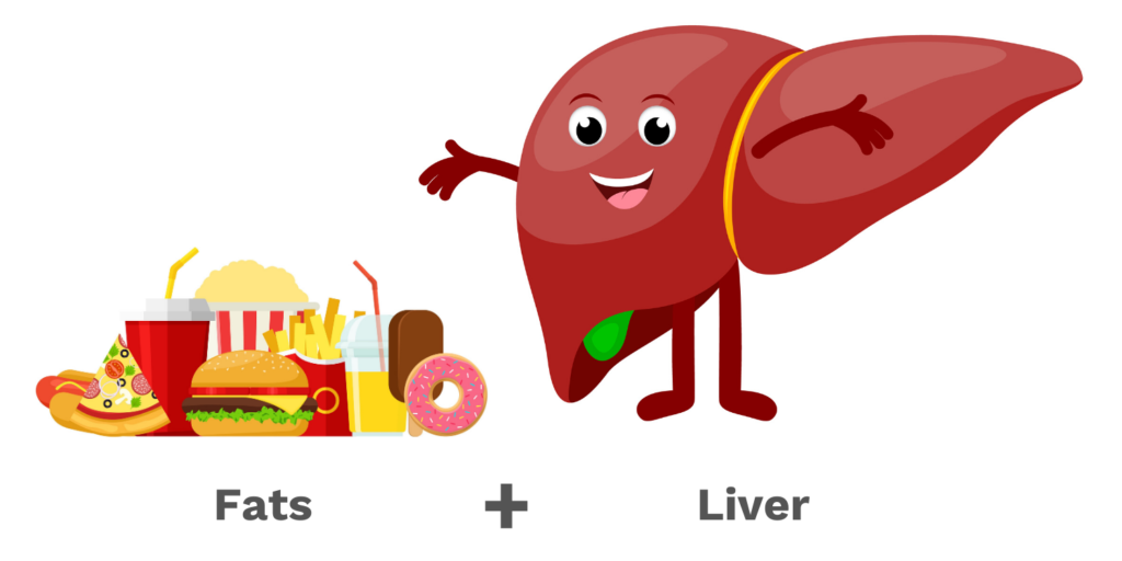 The liver shrinking diet should be low in fats before bariatric surgery