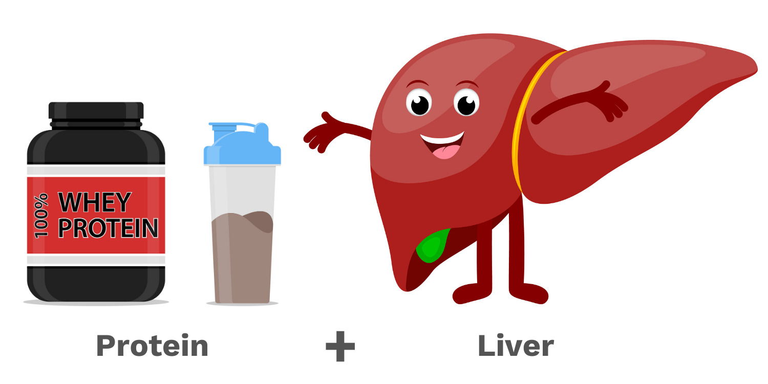 Liver Shrinking Diet For Pre Bariatric Surgery Patients liver-shrinking-diet-benefits-menu-samples-warnings-diet-plan