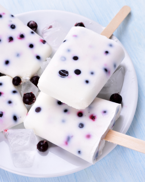 10 Homemade Protein Popsicle Recipes Bari Life