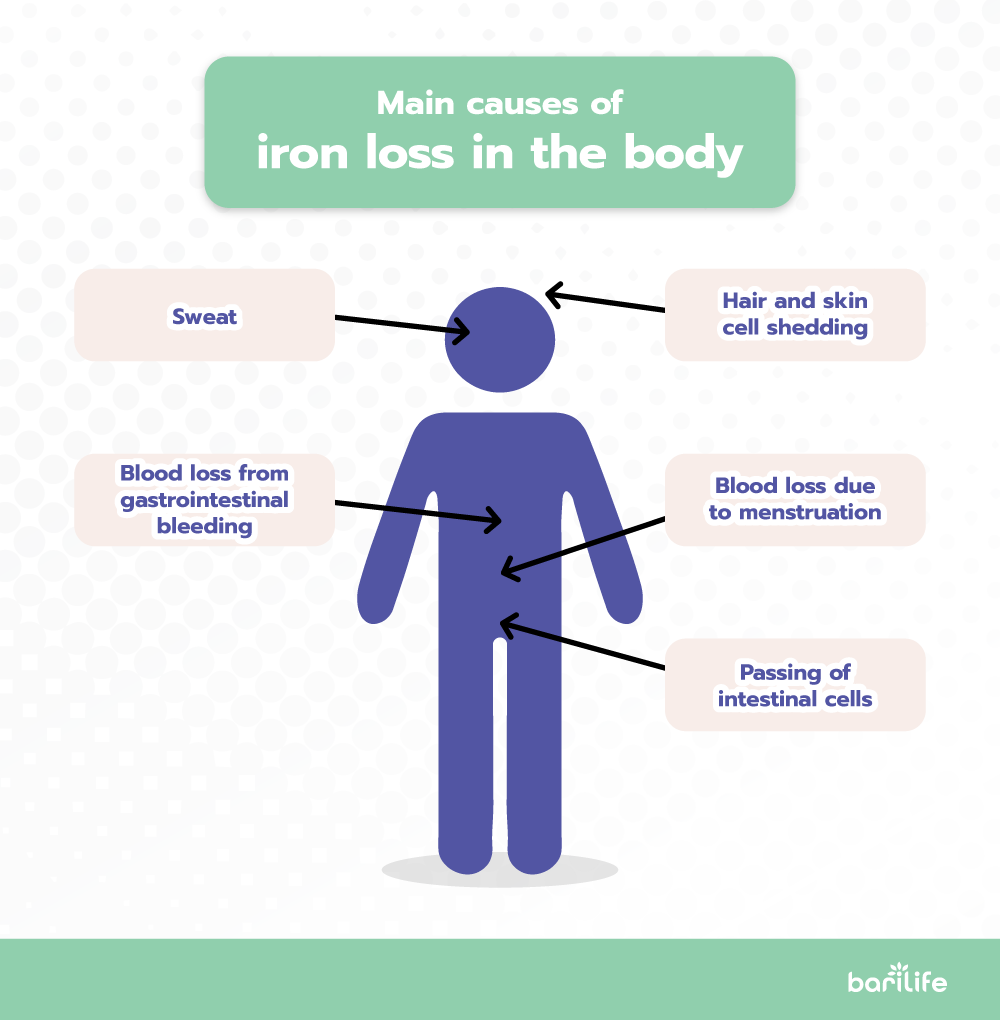 Main causes of iron loss in the body