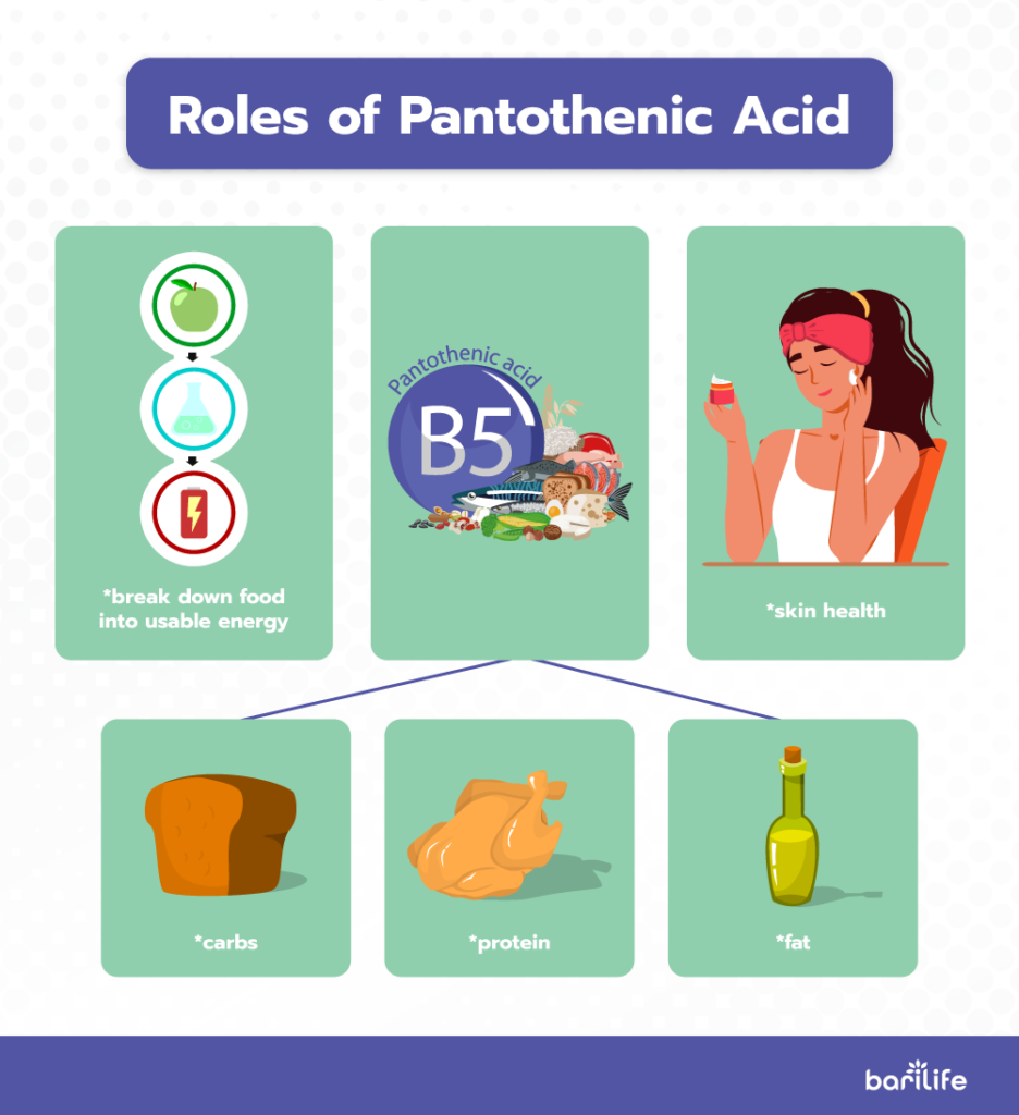 Roles of pantothenic acid