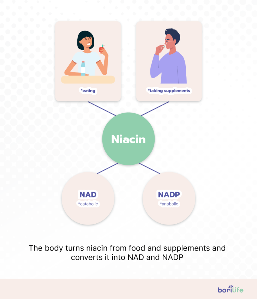 Everything you need to know about Niacin after bariatric surgery Bari Life