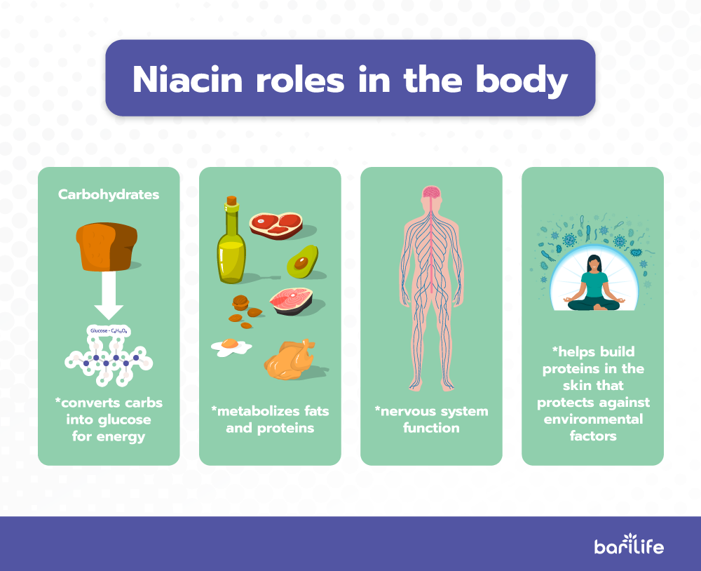 niacin roles in the body
