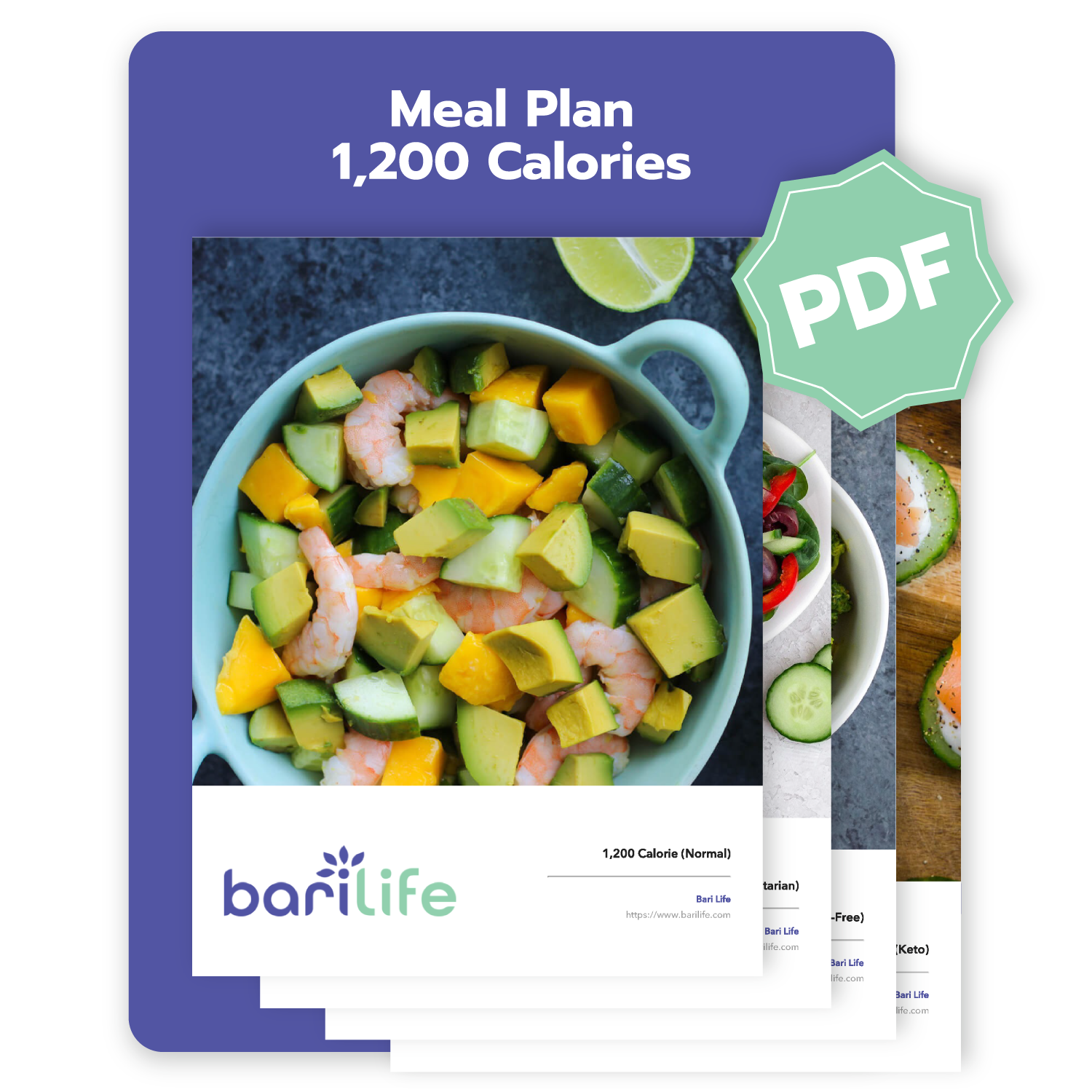 Bariatric Meal Plans