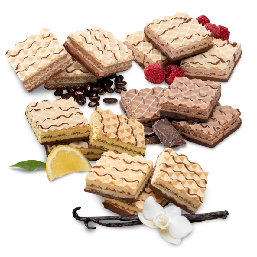 Protein Wafers