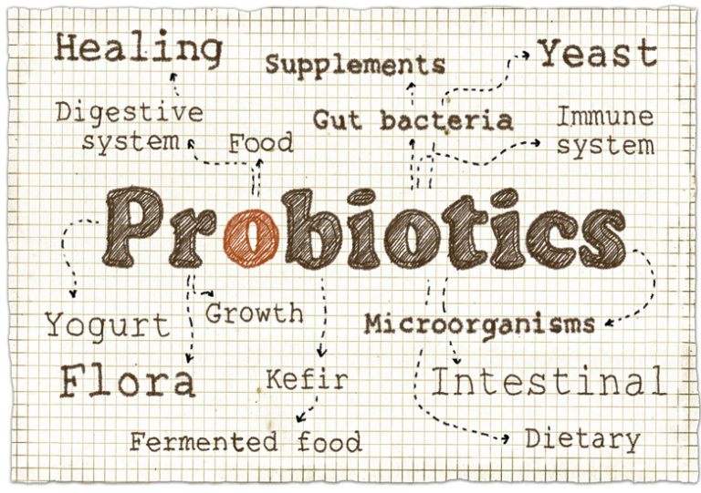 The Importance of Probiotics